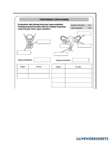 Organ Pembiakan Manusia