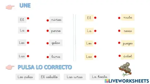 Concordancia artículo-nombre