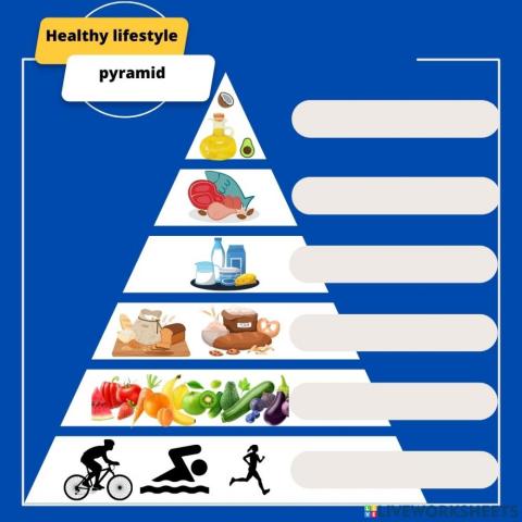 Food pyramid