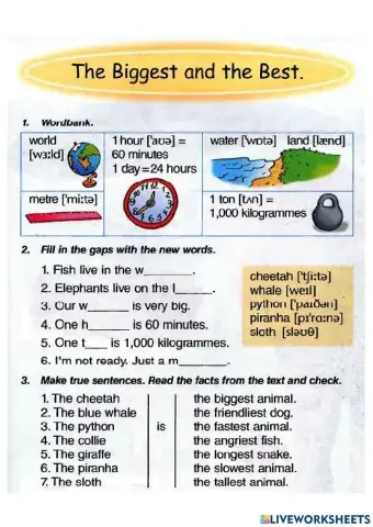 The Biggest and the Best