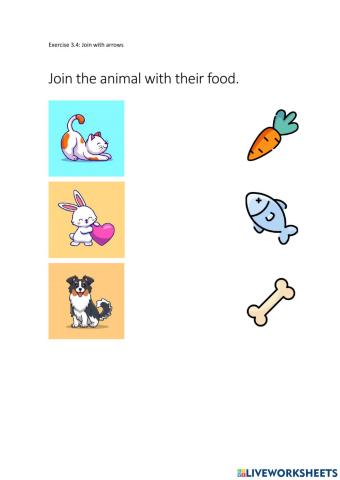Join the animal with their food