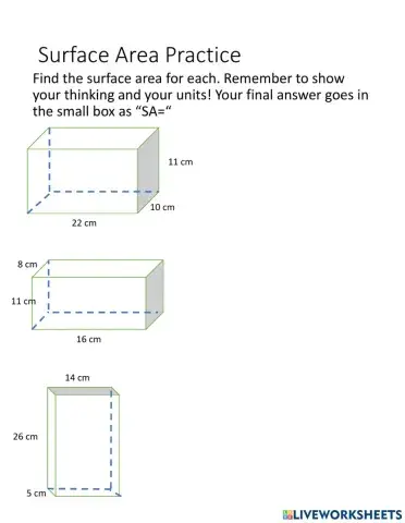 Surface Area