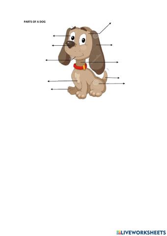 Dog-s body parts drop down select box