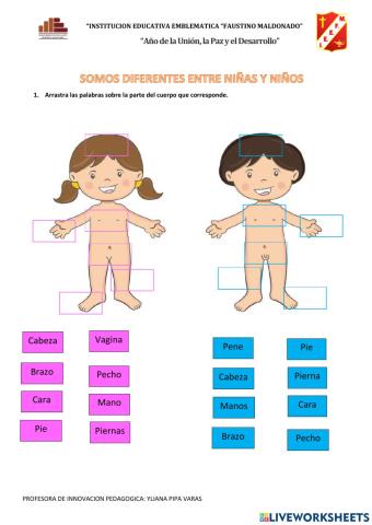 Somos diferentes entre niños y niñas