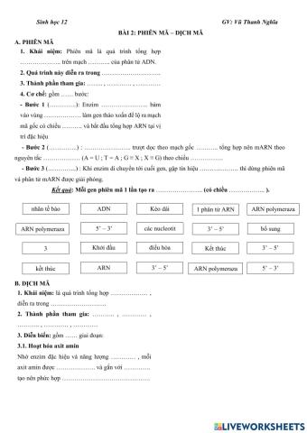 Phiên mã - Dịch mã