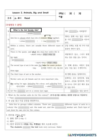 3학년 2과 41쪽 Ants Society