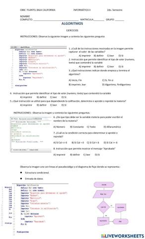 Algoritmosejercicios