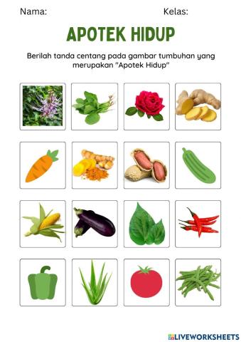 Bahasa Indonesia T6 ST 4