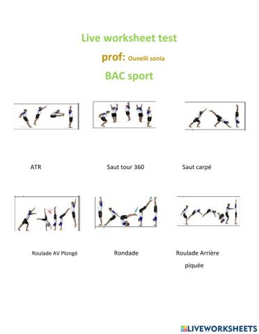 Bac sport worksheet