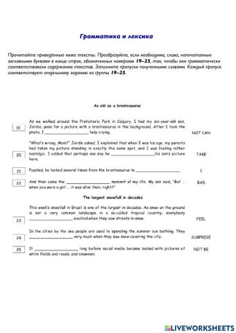 Grammar exercises 19-25