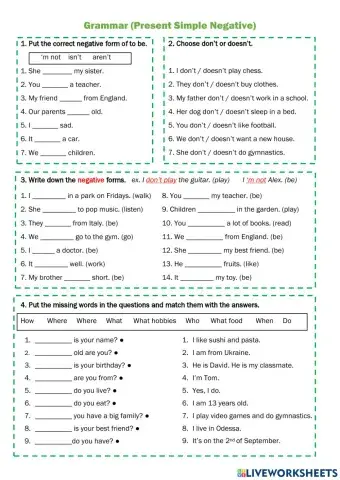 Present simple negative