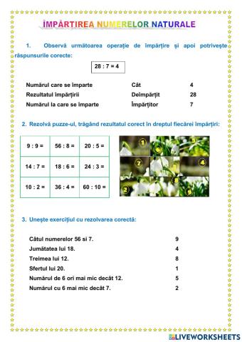 Împărțirea numerelor naturale