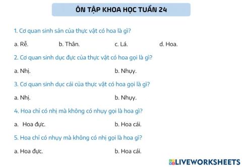 Khoa học tuần 24