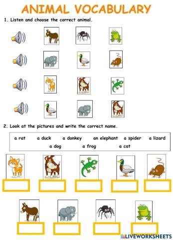 Animal vocabulary