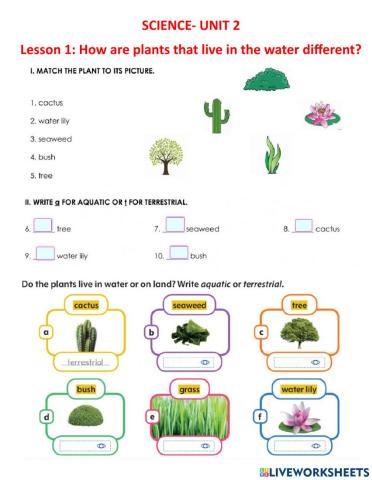 Science-Unit 2-Lesson 1