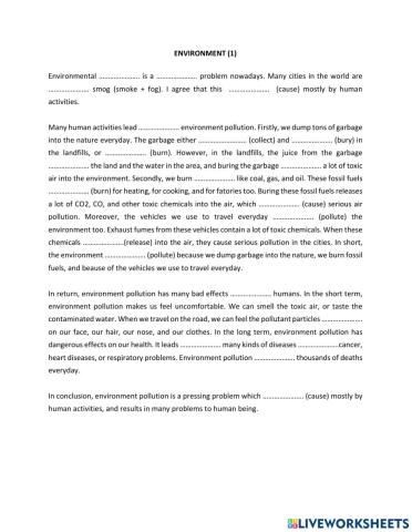 TRS6 - Environment (1) - causes and effects