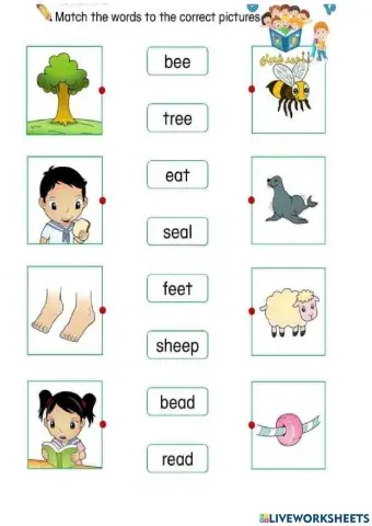 Match pictures and words