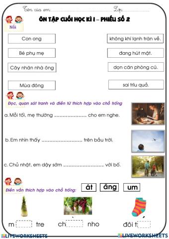 Phiếu ôn tập học kì I