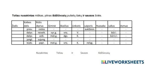 Morfologinis nagrinėjimas 4