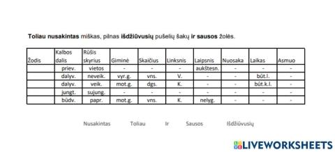 Morfologinis nagrinėjimas 4