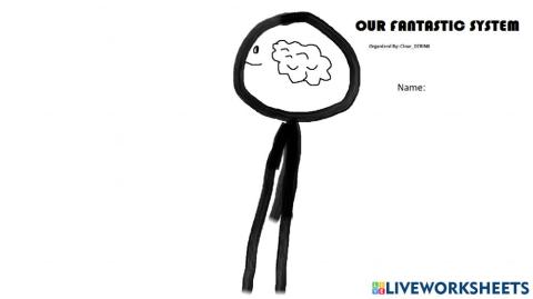 Our Fantastic System Front