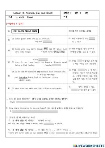 3학년 2과 41쪽 Fun Facts about Ants