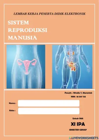 Sistem reproduksi manusia