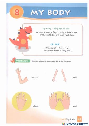 My body and face - lesson