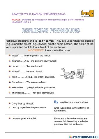 Reflexive pronouns