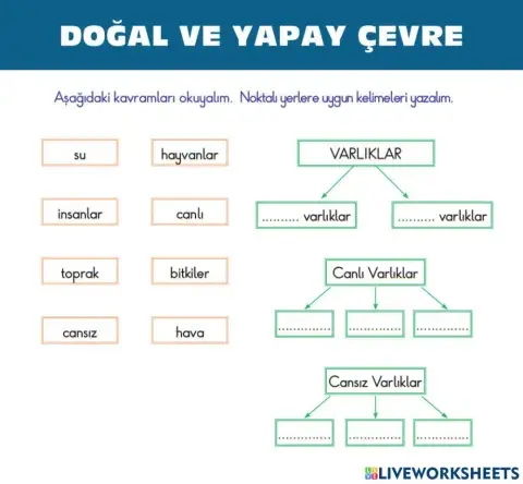 Doğal Ve Yapay Çevre