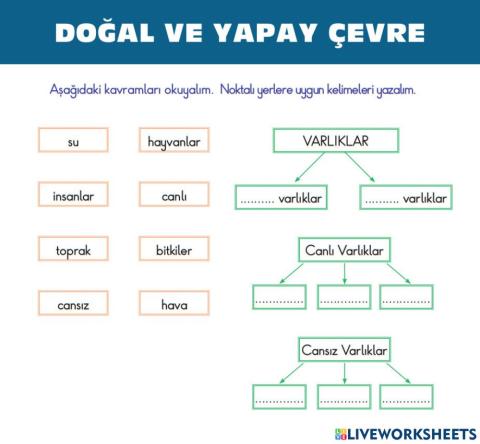 Doğal Ve Yapay Çevre