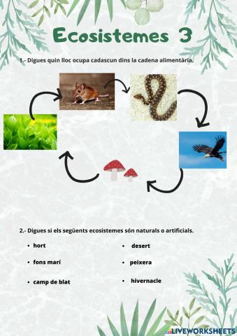 Ecosistemes 3