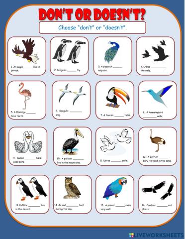 Don't Doesn't Multiple Choice 3