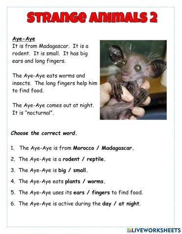 Strange Animals 2 Aye-Aye Reader
