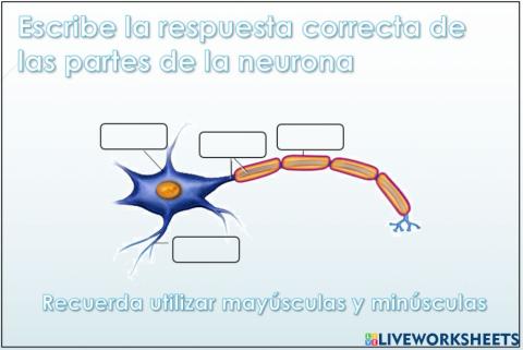 Neurona