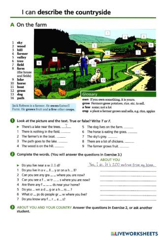 Basic Vocabulary-36 The countryside
