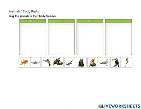 Animal's body parts