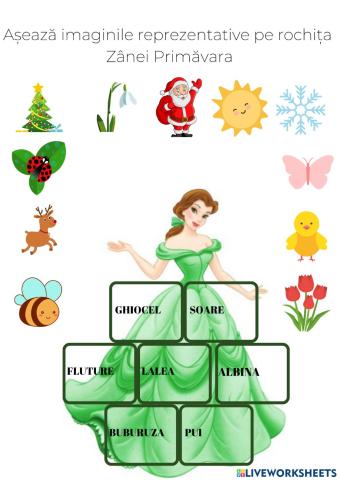 Rochita Zanei Primavara