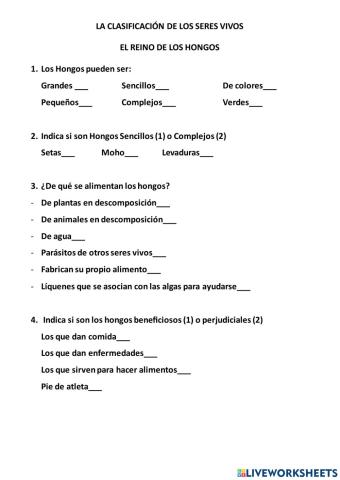 El reino de los hongos