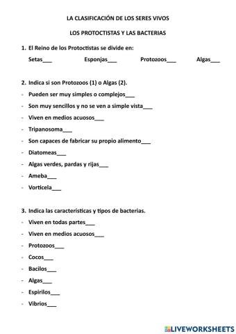 Los protoctistas y las bacterias