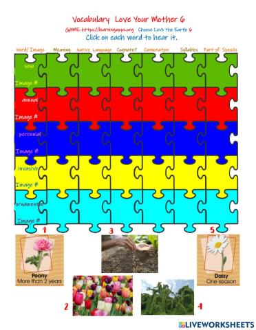 Vocabulary Love the Earth 6
