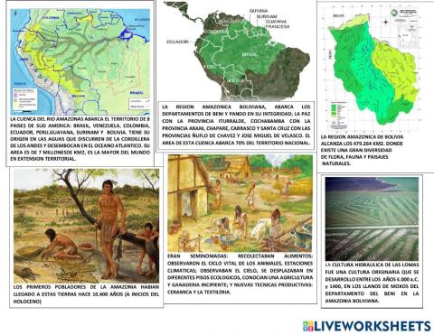 Culturas hidraulicas amazonicas