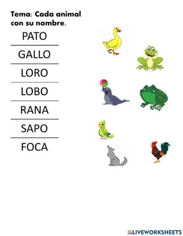 Pareo imagen-palabra