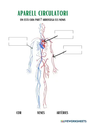 Parts aparell circulatori