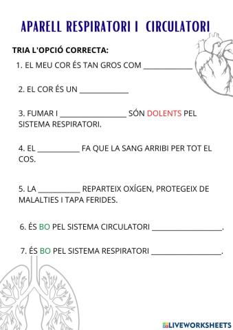 Repàs ciculació i respiracio