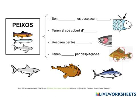 Els peixos