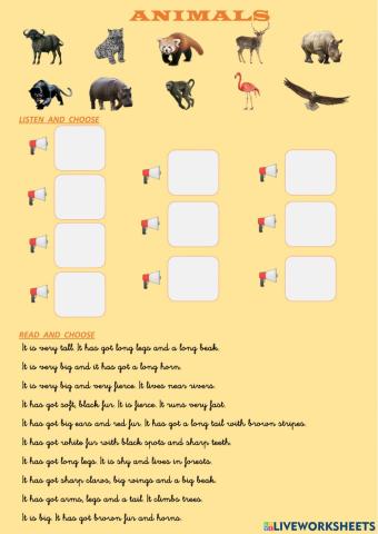 Wild animals TIGER 5 UNIT 3