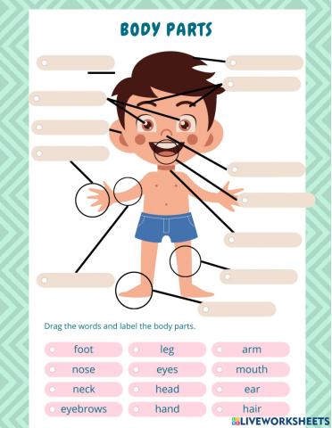 Body Parts