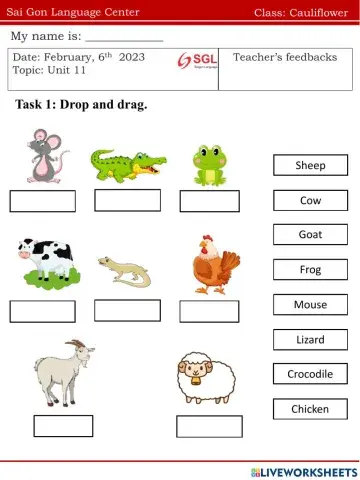 Cauli.FF1.U11(06.03)