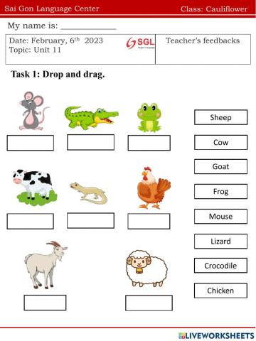 Cauli.FF1.U11(06.03)